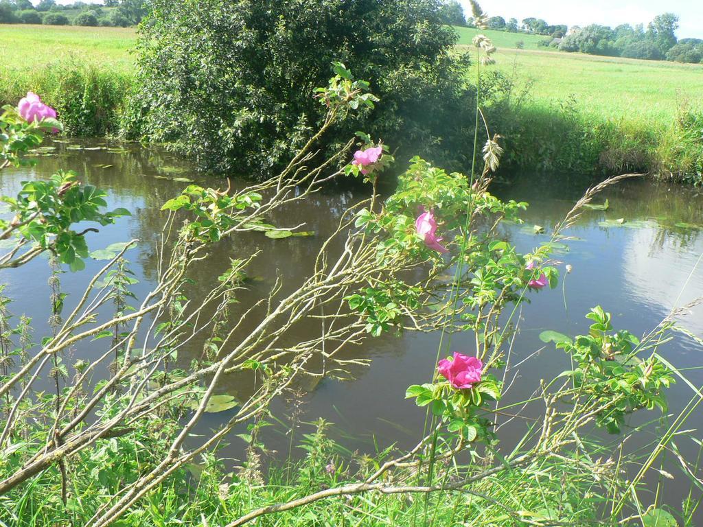 Gite De L'Aure Trevieres Exterior foto